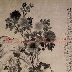 清代 李鳝《牡丹》国画花鸟作品图片赏析