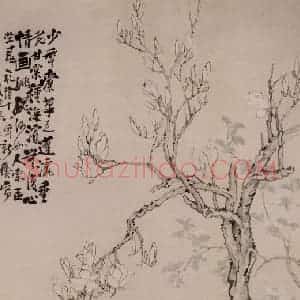 清代 李鳝《玉兰海棠》国画花鸟作品图片赏析