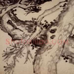 清代 李鳝《杂画册》国画花鸟作品图片赏析