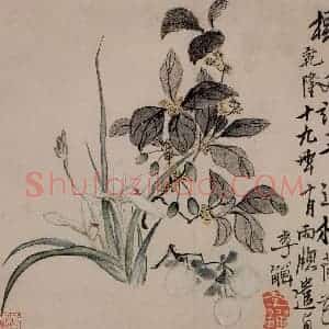 清代 李鳝《杂画8开》国画花鸟作品图片赏析