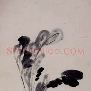 清代 李鳝《杂画12开》国画花鸟作品图片赏析