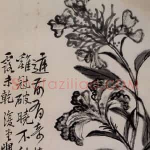 清代 李鳝《花卉册》国画花鸟作品图片赏析