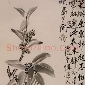 清代 李鳝《花卉册》国画花鸟作品图片赏析