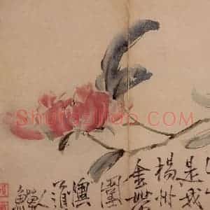 清代 李鳝《花卉册》国画花鸟作品图片赏析