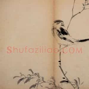 清代 李鳝《花卉册》国画花鸟作品图片赏析