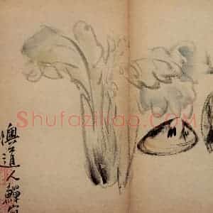 清代 李鳝《花卉册》国画花鸟作品图片赏析