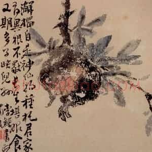 清代 李鳝《花果册12开》国画花鸟作品图片赏析