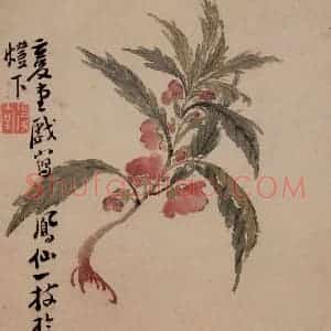 清代 李鳝《花果册12开》国画花鸟作品图片赏析