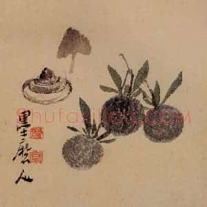 清代 李鳝《花果册12开》国画花鸟作品图片赏析