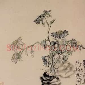 清代 李鳝《花卉册》国画花鸟作品图片赏析