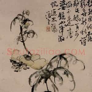 清代 李鳝《花卉册》国画花鸟作品图片赏析