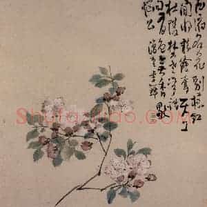 清代 李鳝《花卉册》国画花鸟作品图片赏析