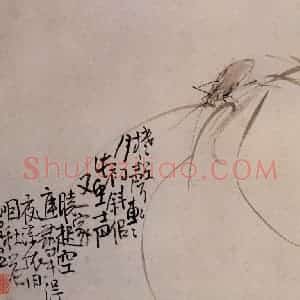 清代 李鳝《杂画册》国画花鸟作品图片赏析