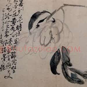 清代 李鳝《花卉册》国画花鸟作品图片赏析