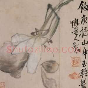 清代 李鳝《杂画册》国画花鸟作品图片赏析