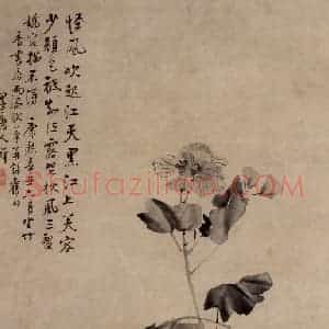 清代 李鳝《黑芙蓉》国画花鸟作品图片赏析