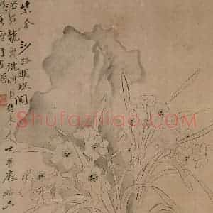 清代 华岩《花鸟草虫图》国画花鸟作品图片赏析