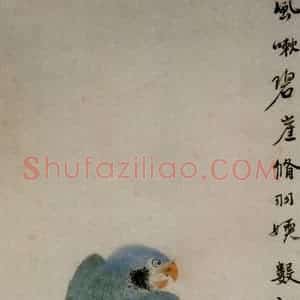 清代 华岩《枝头鹦鹉图》国画花鸟作品图片赏析