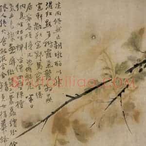 清代 华岩《菊花图》国画花鸟作品图片赏析