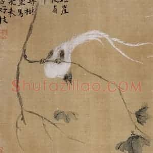 清代 华岩《杂画》国画花鸟作品图片赏析