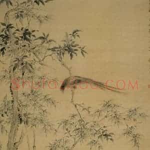 清代 华岩《桂树山雉图》国画综合作品图片赏析