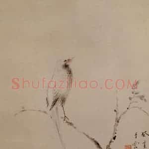 清代 华岩《花鸟图》国画花鸟作品图片赏析