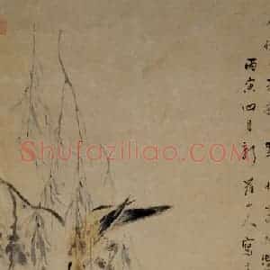 清代 华岩《黄鹂翠鸟图》国画花鸟作品图片赏析