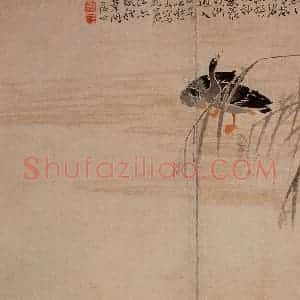 1748年 边寿民《芦雁图册》国画花鸟写意作品图片赏析