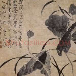 1749年 边寿民《墨荷图》国画花鸟写意作品图片赏析