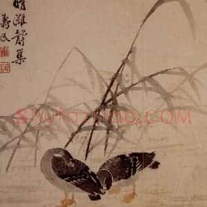1749年 边寿民《芦雁册》国画花鸟写意作品图片赏析
