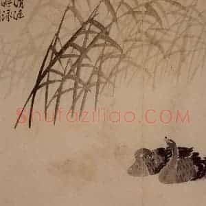 1749年 边寿民《芦雁册》国画花鸟写意作品图片赏析