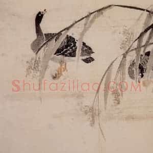 1749年 边寿民《芦雁册》国画花鸟写意作品图片赏析