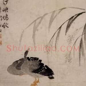 1749年 边寿民《芦雁册》国画花鸟写意作品图片赏析