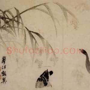 1749年 边寿民《芦雁册》国画花鸟写意作品图片赏析