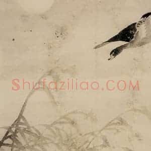 1749年 边寿民《芦雁册》国画花鸟写意作品图片赏析