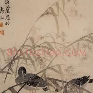 1749年 边寿民《芦雁册》国画花鸟写意作品图片赏析