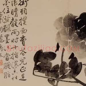 1751年 边寿民《花卉芦雁册》国画花鸟写意作品图片赏析