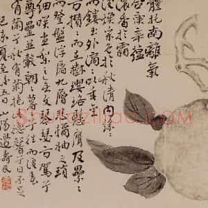 1751年 边寿民《花卉芦雁册》国画花鸟写意作品图片赏析