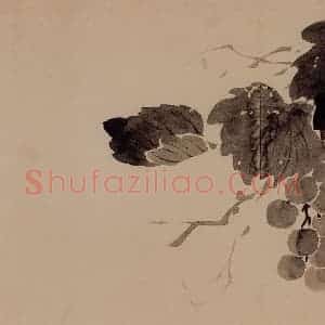 1751年 边寿民《花卉芦雁册》国画花鸟写意作品图片赏析