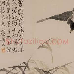 1751年 边寿民《花卉芦雁册》国画花鸟写意作品图片赏析