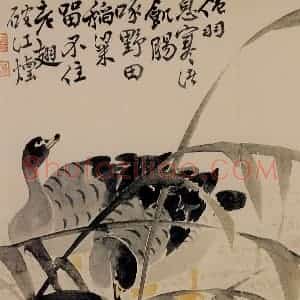 1751年 边寿民《花卉芦雁册》国画花鸟写意作品图片赏析