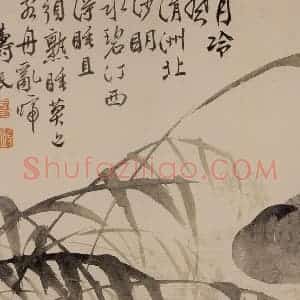 1751年 边寿民《花卉芦雁册》国画花鸟写意作品图片赏析