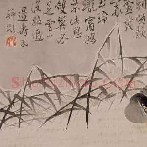 1751年 边寿民《花卉芦雁册》国画花鸟写意作品图片赏析