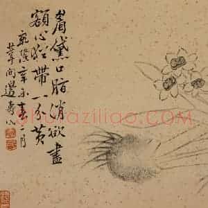 1751年 边寿民《杂画册》国画花鸟写意作品图片赏析
