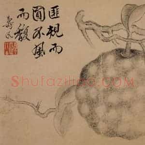 1751年 边寿民《杂画册》国画花鸟写意作品图片赏析