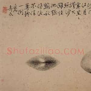 1751年 边寿民《杂画册》国画花鸟写意作品图片赏析