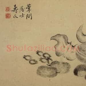 1751年 边寿民《杂画册》国画花鸟写意作品图片赏析