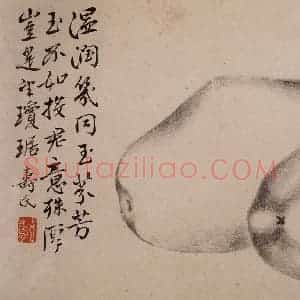 1751年 边寿民《杂画册》国画花鸟写意作品图片赏析