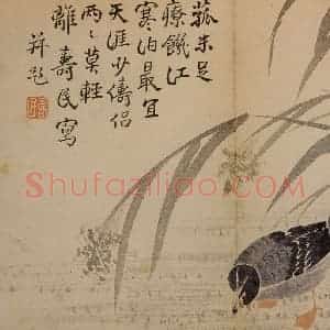1751年 边寿民《杂画册》国画花鸟写意作品图片赏析