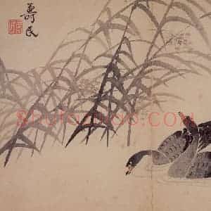 1751年 边寿民《杂画册》国画花鸟写意作品图片赏析